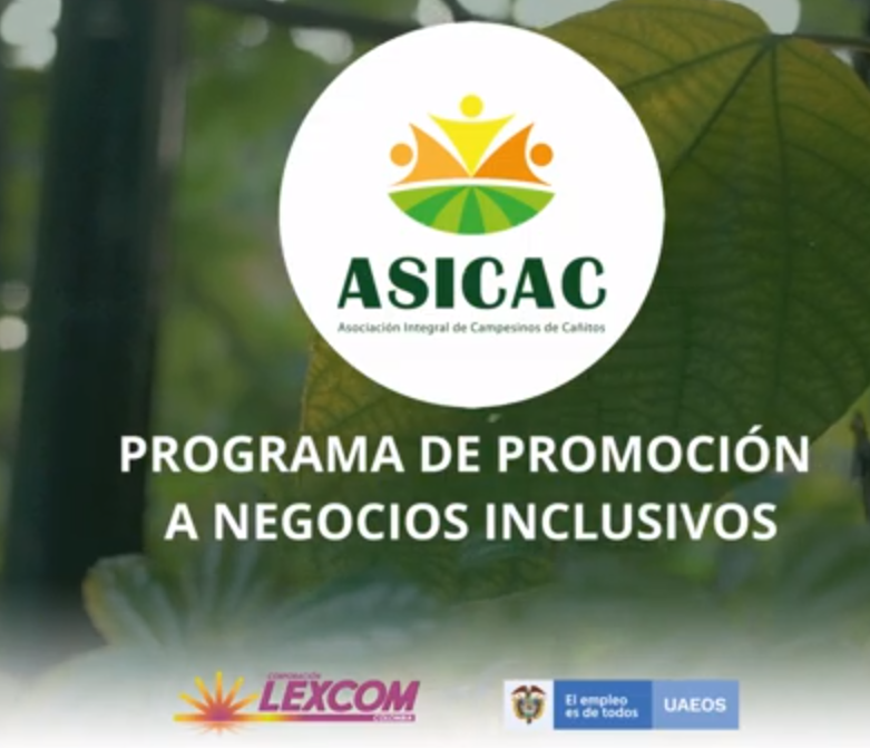 PROGRAMA DE PROMOCIÓN A NEGOCIOS INCLUSIVOS | ASICAC