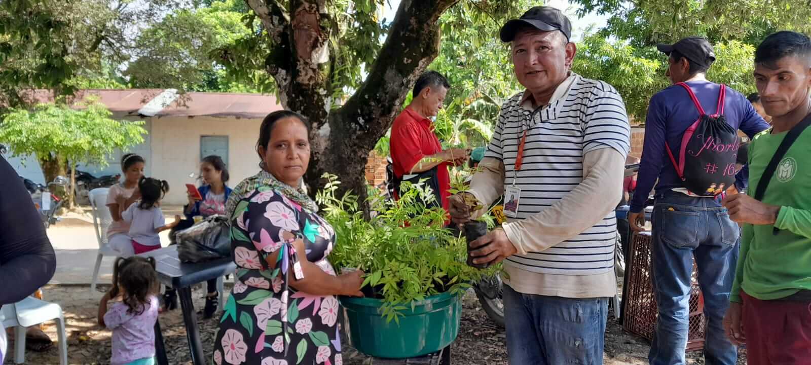 Sistemas agroforestales de cacao y café