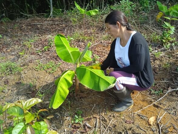 ¡Avanza la Transformación Agrícola en el Catatumbo!