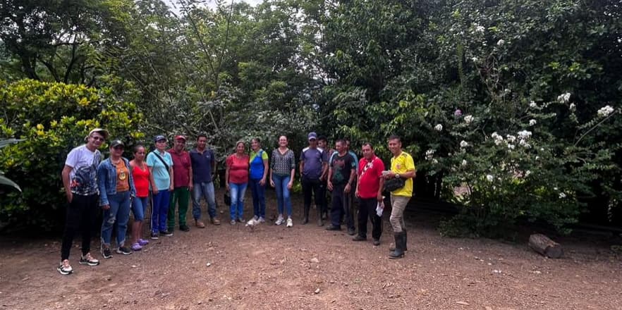 Entrega de material vegetal de plátano en Guamalito, Norte de Santander