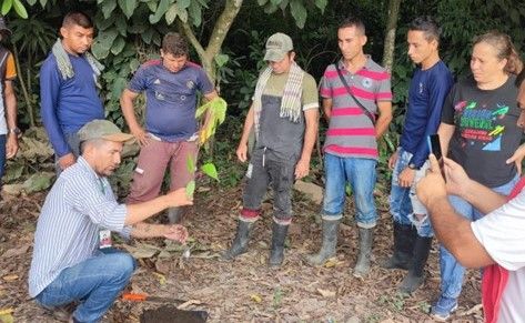 El Catatumbo florece con el aroma del cacao y nuevas oportunidades